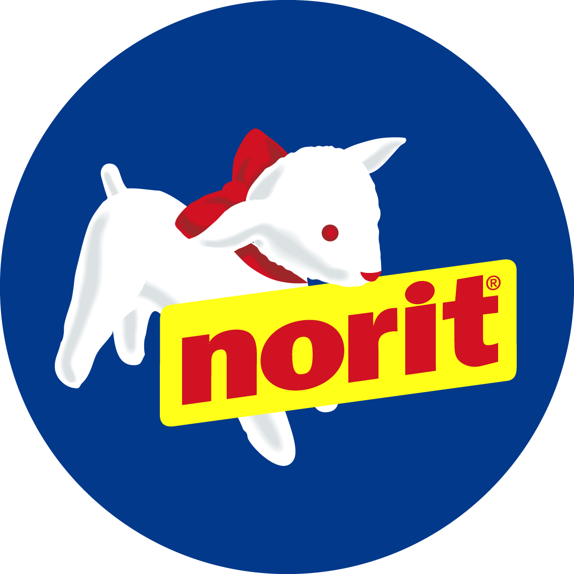 Norit